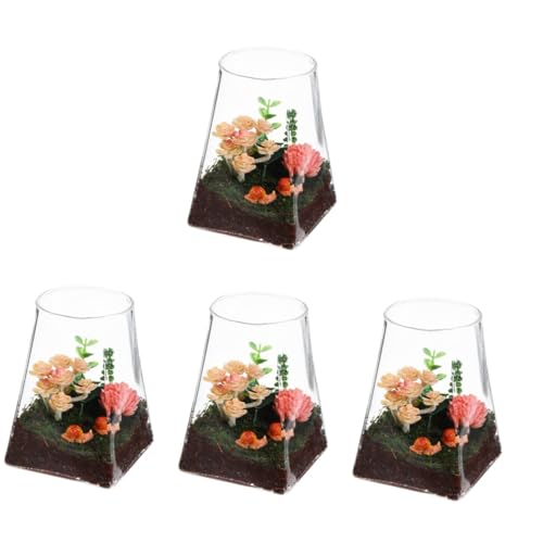 YARNOW 4 Stück Ökologische Mikrolandschaftsflasche Terrarium Vase Mikro-landschaftsflasche Ausbreitungsstation Glas von YARNOW