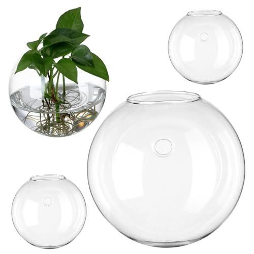 YARNOW 4stücke Glas Wand-pflanztopf Runde Wandvasen Für Blumen Hängende Anzuchtstation Für Innenbereich Hochtransparente Terrarium-pflanzenhalter YARNOW 4stücke Glas Wand-pflanztopf Runde Wandvasen Für Blumen Hängende Anzuchtstation Für Innenbereich Hochtransparente Terrarium-pflanzenhalter von YARNOW