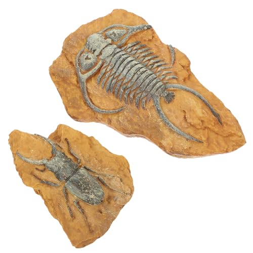 YARNOW 6 STK simuliertes Harzfossil Reptile Decor Terrarium Decor Safe for Reptiles Dekor für Reptilienbecken Leopard Gecko Tank Zubehör Spielzeug Gecko-Landschaft Schlangenlandschaft von YARNOW