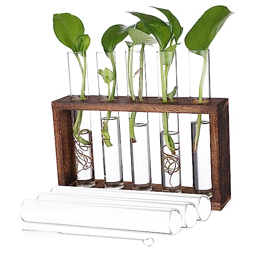 YARNOW Container bürodeko büro Dekoration pflanzenanzucht pflanzenpflege fensterpolster Perlit Pflanzen Reagenzglas Stand Links Vase Pflanzenvermehrungsrohr Tischterrarium Protokoll von YARNOW