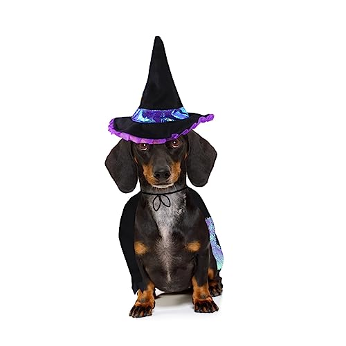 YARNOW Halloween-Kostüm für Haustiere Hundekleidung lustiger Hundeanzug Hund flippige Kleidung Dog Costume hundekostüme für Hunde Haustierzubehör Katze flippige Kleidung Baumwolle Violett von YARNOW