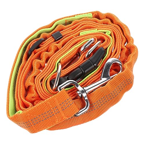 YARNOW Haustierleine Kragen zum Hundetraining einstellbar Hundeleinentraining Traktion elastische hundeleine hundesicherheitsgeschirre hundesicherer gürtel Haustierkabelbaum Nylon Orange YARNOW Haustierleine Kragen zum Hundetraining einstellbar Hundeleinentraining Traktion elastische hundeleine hundesicherheitsgeschirre hundesicherer gürtel Haustierkabelbaum Nylon Orange von YARNOW