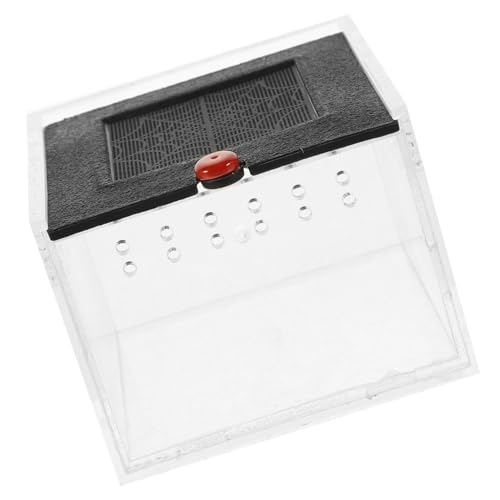 YARNOW Klarer Sichtbehälter Für Spinnen Und Kleine Reptilien Ventilierte Acrylbox Mit Transparentem Design Für Einfache Beobachtung Und Pflege Robuste Leicht Zu Reinigende Terrarienbox YARNOW Klarer Sichtbehälter Für Spinnen Und Kleine Reptilien Ventilierte Acrylbox Mit Transparentem Design Für Einfache Beobachtung Und Pflege Robuste Leicht Zu Reinigende Terrarienbox von YARNOW
