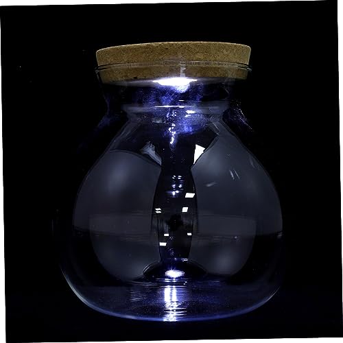 YARNOW LED Terrariumflasche Mit Weißem Licht DIY Landschaftsflasche Aus Glas Für Mikro Landschaften Fischtank Und Einfache Pflanzen Kreatives Ökosystem Für Zuhause von YARNOW