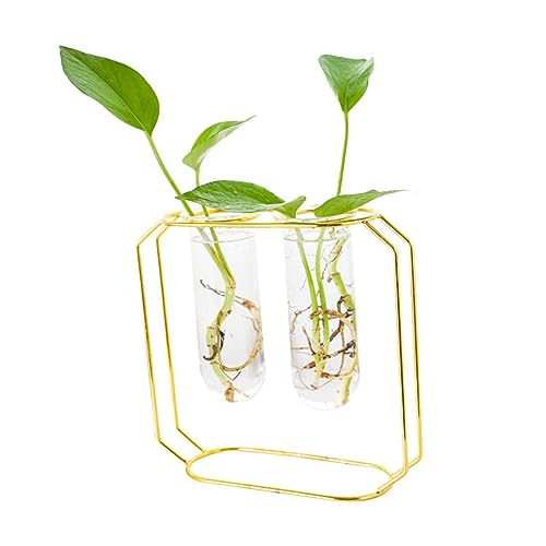 YARNOW 2er Set Kunst Pflanzen Terrarium Vase Stilvolle Pflanzer Für Hydrokultur Dekoration Im Wohnzimmer Und Büro Modernes Design Für Pflanzenarrangements von YARNOW