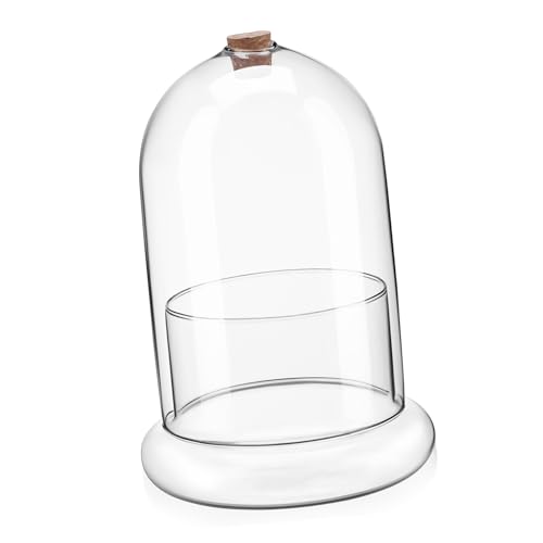 YARNOW Glas Pflanzer Luft Loch Moos Terrarium für Schreibtisch Dekorative Landschaft Flasche von YARNOW