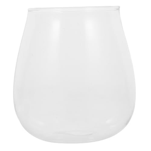 YARNOW Mikrolandschaftspflanzen Terrarium Sukkulenter Terrarienpflanzer Wasserpflanzenvase Pflanzenhalter glasflasche glasbehälter Vasen Landschaftsbehälter Glastöpfe für Pflanzen von YARNOW