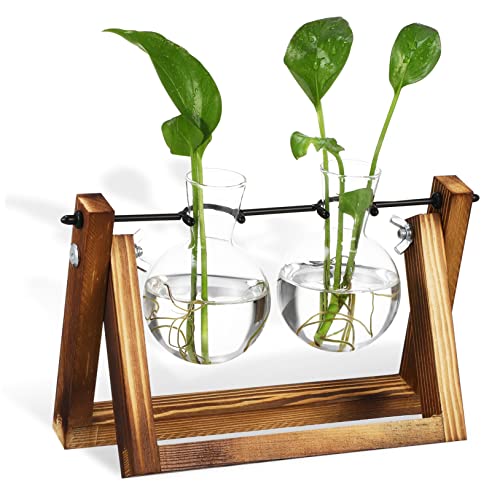 YARNOW Ornamente Glasvasen Schreibtisch Dekoration Plant Shelf blumengesteck glasgefäß vases blumenbank Blumenvase Ausbreitungsstationen Pflanzenvermehrungsvase Glasvase für Pflanzen Holz von YARNOW