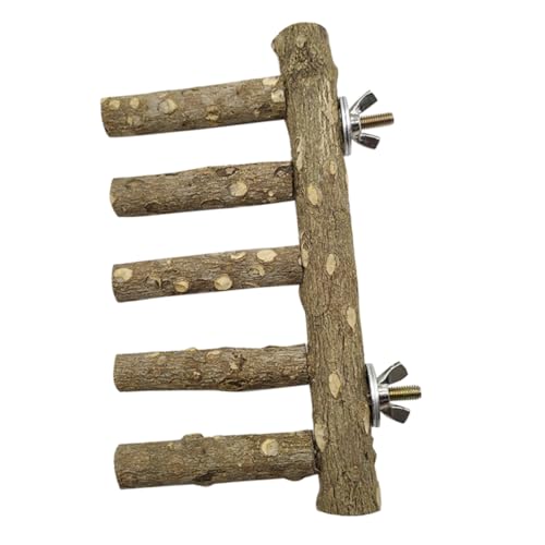 YARNOW Holz Vogel Ständer Für Papageien Vogelkäfig Stand Balance Zug Spielzeug Vogelstange Papageienstange Vogelständer Aus Naturholz Widerstandsfähig Für Käfig YARNOW Holz Vogel Ständer Für Papageien Vogelkäfig Stand Balance Zug Spielzeug Vogelstange Papageienstange Vogelständer Aus Naturholz Widerstandsfähig Für Käfig von YARNOW