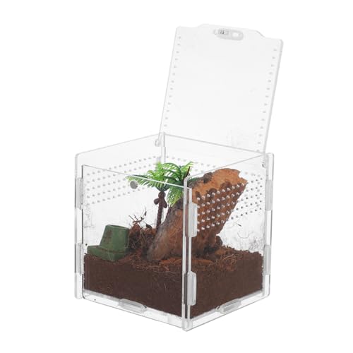 YARNOW Spinnenbox Für Haustiere Kleines Terrarium Spinnengehege Schildkrötengehege Drinnen Zubehör Für Den Lebensraum Der Springspinne Haustierkäfig Vogelspinne Zubehör Acryl von YARNOW