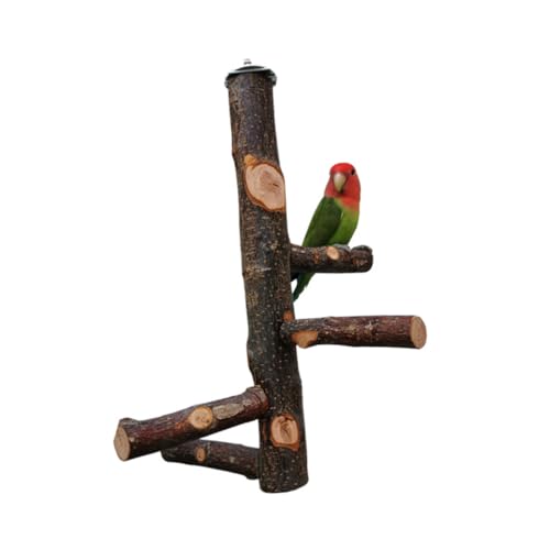 YARNOW Vogel Stehen vogelstange papageienspielzeug Parrot Toys Holzspielzeug für Papageien Vogelspielzeug Spielzeuge Papageienständer Vögel Spielzeug Apfelholz Trainingsgestell Hölzern YARNOW Vogel Stehen vogelstange papageienspielzeug Parrot Toys Holzspielzeug für Papageien Vogelspielzeug Spielzeuge Papageienständer Vögel Spielzeug Apfelholz Trainingsgestell Hölzern von YARNOW