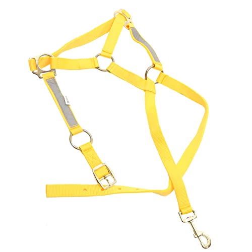 YARNOW reflektierendes Pferdeseil gepolstert Accessoires binden aufblasbares Zubehör Spiel Stand Reiter Sachen reitzubehör Pferdehalfter Halfterring für Pferde Kummet PP-Gurtband Yellow von YARNOW