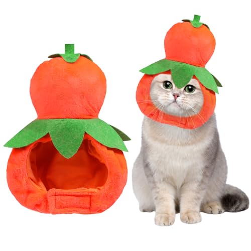 YASUOA Katzenkostüm, niedliches Persimmon-Outfit, Hut – lustiges Haustier-Dekor-Zubehör, Erntedank-Katzen-Outfit, Katzen-Winterkostüm von YASUOA