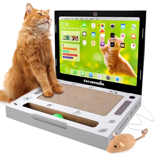 Katzen Kratz Laptop aus Pappe, 3-in-1 Kratzbrett Katzenspielzeug, Faltbar Laptop-förmiges mit Plüsch Maus und Glöckchenball für Katzen Kratzübungsunterlage Drinnen Interaktives von YCCOKJJ