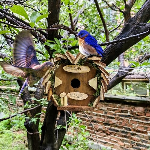 YCHTEWY - Natürliches Vogelhaus aus Holz für den Außenbereich, für Kardinäle, hängendes Gartenvogelhaus zum Beobachten von YCHTEWY