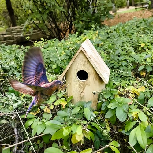 YCHTEWY - Vogelhaus aus Holz, Vogelfutterstation zum Aufhängen, zieht Vögel an und verschönert Ihren Hof. (Creme, C) von YCHTEWY