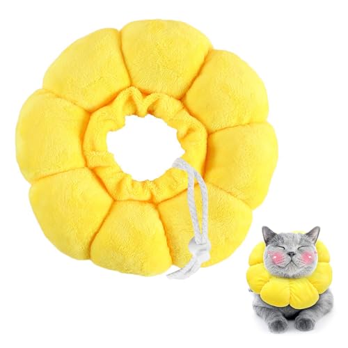 Anti Biss Katze Schutzkragen, Katze Wiederherstellung Halsband, Soft Schutzkragen Katze Weich Sonnenblume Katze, Schützender Kragen Für Katze Und Hund, Für Haustiere Katzen Hunde Welpen Kätzchen, M von YDYSAA