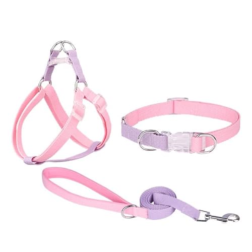 Hundegeschirr, Leine, Halsband-Set, kein Ziehen, verstellbar, Nylon, für kleine und große Hunde, Leine, französische Bulldogge, Spaziergänge von YEAG