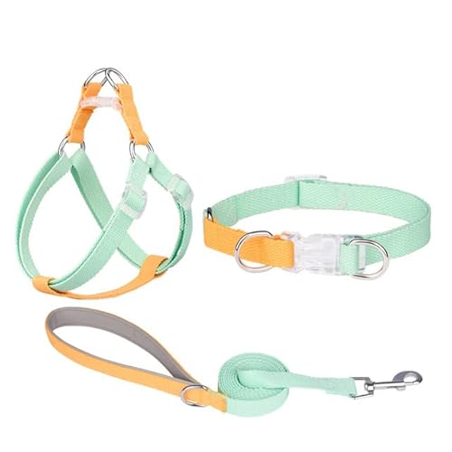 Hundegeschirr, Leine, Halsband-Set, kein Ziehen, verstellbar, Nylon, für kleine und große Hunde, Leine, französische Bulldogge, Spaziergänge von YEAG