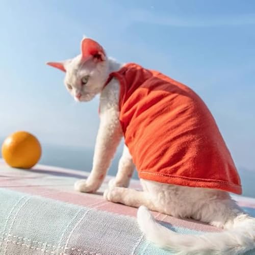 Summer Sphynx Haustier-Kleidung, Baumwolle, Kätzchen, Weste, Shirt für Sphinx, atmungsaktiv, weich, Devon Rex, weiche Kleidung Summer Sphynx Haustier-Kleidung, Baumwolle, Kätzchen, Weste, Shirt für Sphinx, atmungsaktiv, weich, Devon Rex, weiche Kleidung von YEAG
