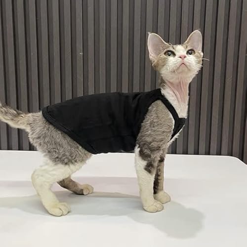 Summer Sphynx Haustier-Kleidung, Baumwolle, Kätzchen, Weste, Shirt für Sphinx, atmungsaktiv, weich, Devon Rex, weiche Kleidung Summer Sphynx Haustier-Kleidung, Baumwolle, Kätzchen, Weste, Shirt für Sphinx, atmungsaktiv, weich, Devon Rex, weiche Kleidung von YEAG