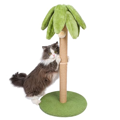 Yepdin Kratzbaum für Katzen, groß, für Erwachsene, mit Sisalseil, niedlicher Kratzbaum in Palme, 78 cm hoch von Yepdin