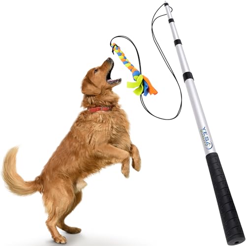 YES4QUALITY Flirtstange für Hunde mit sicherer und starker, Nicht elastischer Schnur, Teleskop-Köderstange für Hunde jeder Größe, Hundespielzeug für Training und Übung von YES4QUALITY