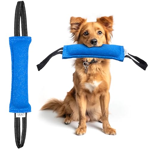 YES4QUALITY Hundespielzeug (30,5 x 8,9 cm, blau), langlebiges Ziehspielzeug mit 2 starken Griffen, robustes Nylon-Bisskissen für mittelgroße bis große Hunde, ideal zum Zerren, Apportieren, K9, von YES4QUALITY