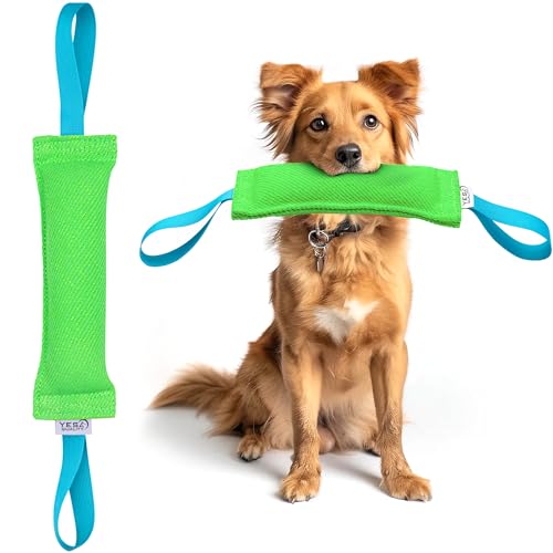 YES4QUALITY Hundespielzeug (30,5 x 8,9 cm, grün), langlebiges Zugspielzeug mit 2 starken Griffen, robustes Nylon-Bisskissen für mittelgroße bis große Hunde, ideal zum Zerren, Apportieren, K9, von YES4QUALITY