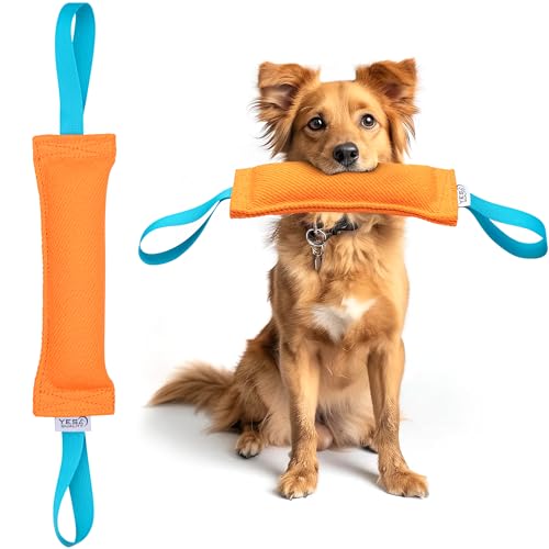YES4QUALITY Hundespielzeug (30,5 x 8,9 cm, orange), langlebiges Zugspielzeug mit 2 starken Griffen, robustes Nylon-Bisskissen für mittelgroße bis große Hunde, ideal zum Zerren, Apportieren, K9, von YES4QUALITY