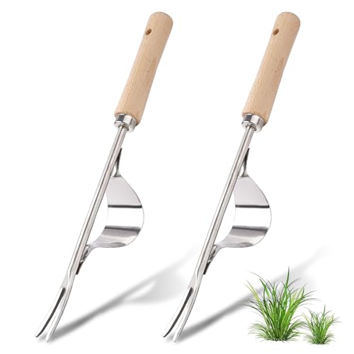 2 Stück 32cm Lang Edelstahl Unkrautstecher Garten Hand Weeder Mit Holzstiel Wurzeljäter Gartenarbeit Hand Unkrautstecher Unkrautjäter Zum Graben, Jäten, Lösen, Geschenk Für Gärtner Gärtnerinnen von YESTARTDS