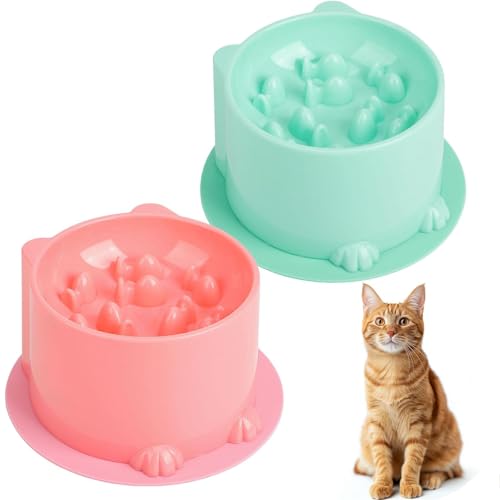 4-Teiliges Set Anti Schling Napf Katze Erhöht, Anti Schling Napf Katze Mit Anti Rutsch Matte, Slow Feeder Katzen Napf, Anti-Schluck Schlingnapf Katze Für Katzen Und Kleine Hunde von YEWCEP