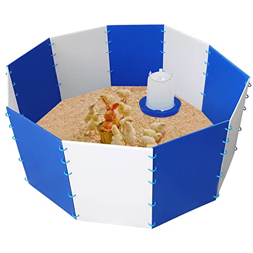 Baby Chick Starter Home Kit – Hühner-Brooder Start-Kit – Baby Chick Brooder Box, ideales Küken Brooder Kit zum Entchen, verstellbare kleine Tierzaunbox, langlebige Kunststoffplatten (ohne Bewässerung) von YEXEXINM