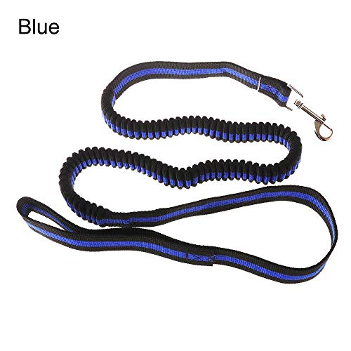 YFCTLM Hundeleine 120cm Hundesitter elastische Bungee Leine Hand Freie Hunde Leinen mit Griff Welpen Kragen Außen Haustier sicher Training führt Laufen (Color : Blue) von YFCTLM