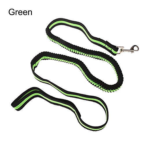 YFCTLM Hundeleine 120cm Hundesitter elastische Bungee Leine Hand Freie Hunde Leinen mit Griff Welpen Kragen Außen Haustier sicher Training führt Laufen (Color : Green) von YFCTLM