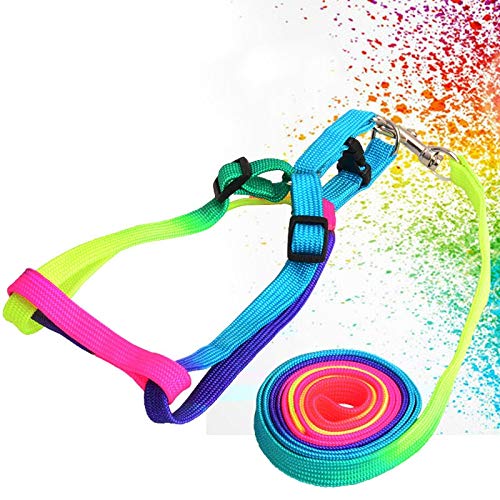 YFCTLM Hundeleine Bunter Regenbogen-Haustier-Hundehalsband aus Gurt Leine weichen Lauf Harness Blei Bunte und Durable Zugseil Nylon 120cm von YFCTLM