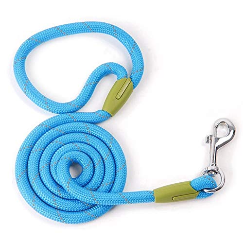 YFCTLM Hundeleine Hundeleine Nylon Hund Welpen Walking Laufen Leinen Trainings Seil-Gurt for Small Medium Large Hunde Pet Supplies (Color : Blue, Size : L 1.2x120cm) von YFCTLM