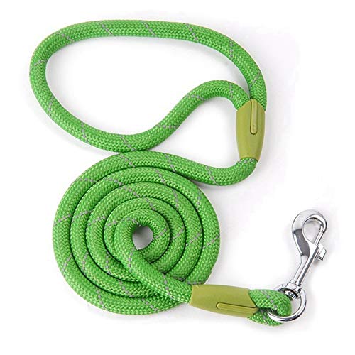 YFCTLM Hundeleine Hundeleine Nylon Hund Welpen Walking Laufen Leinen Trainings Seil-Gurt for Small Medium Large Hunde Pet Supplies (Color : Green, Size : M 1.0x120cm) von YFCTLM