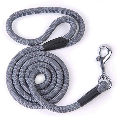 YFCTLM Hundeleine Hundeleine Nylon Hund Welpen Walking Laufen Leinen Trainings Seil-Gurt for Small Medium Large Hunde Pet Supplies (Color : Grey, Size : L 1.2x120cm) von YFCTLM