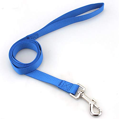 YFCTLM Hundeleine Nylon Haustier-Hundeleine for kleine Große Hund Lange Puppy Dog Collar Blei-Gurt for laufende Trainings-Walking (120 cm) (Color : Blue, Size : L) von YFCTLM