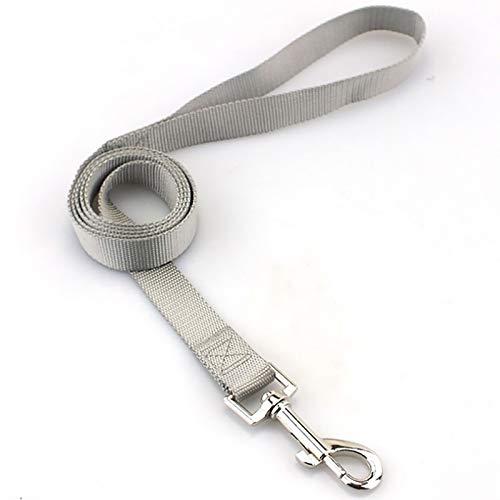 YFCTLM Hundeleine Nylon Haustier-Hundeleine for kleine Große Hund Lange Puppy Dog Collar Blei-Gurt for laufende Trainings-Walking (120 cm) (Color : Grey, Size : L) von YFCTLM