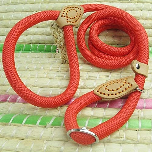 YFCTLM Hundeleine Nylon Hund Zugseil Gleitmanschette pet Kopf Nylon Hund Kletterseiles Welpen pet Traktion klein mittel groß Hund (1,5 m) (Color : Rot, Size : 0.6cmX150cm) von YFCTLM