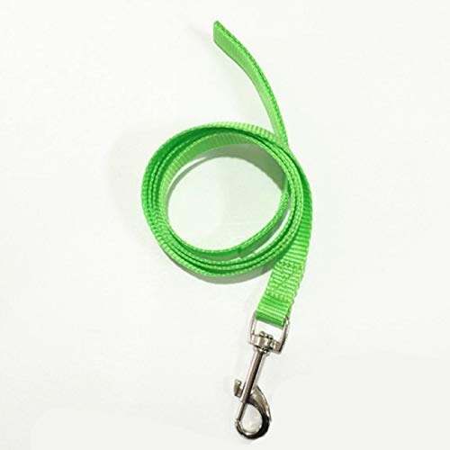 YFCTLM Hundeleine Nylon Hundeleine Nacht Sicherheit Strong-Blei-Leine-Sicherheitsgurt mit Metallclip for Haustier-Welpen-Welpen-Hound Supplies (7 Farben, 120cm) (Color : Green) von YFCTLM