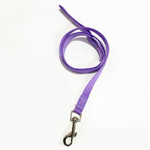 YFCTLM Hundeleine Nylon Hundeleine Nacht Sicherheit Strong-Blei-Leine-Sicherheitsgurt mit Metallclip for Haustier-Welpen-Welpen-Hound Supplies (7 Farben, 120cm) (Color : Purple) von YFCTLM