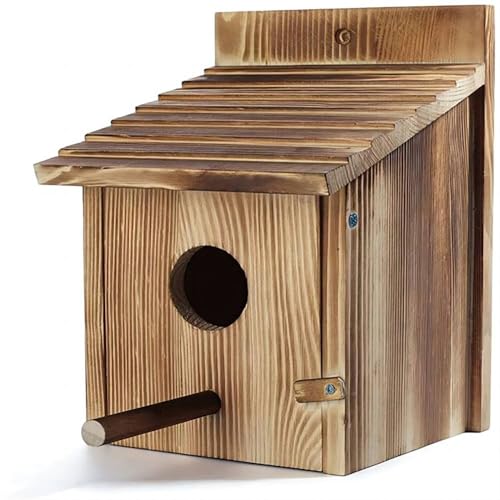 Vogelhaus aus Holz für den Außenbereich mit Stange für Finken, Bluebird, Kardinäle, hängendes Vogelhaus, Garten, Landhäuser, Vogelhäuser, Vogelhäuser, für den Außenbereich, Vogelhäuser für den von YFRDV