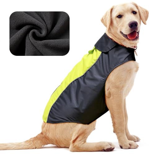 Hunde-Regenmantel, Leichter Hunde-Regenmantel, wasserdicht, wasserdicht, Hunde-Regenjacke, Hundegeschirr, groß, Hundejacke, warmes Hundetuch (grün, groß) von YFbrite