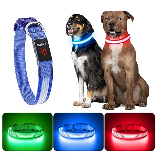 YFbrite Leuchthalsband, wiederaufladbares LED-Hundehalsband, verstellbar, reflektierend, Sicherheit leuchtet bei Nacht für Welpen, kleine, mittelgroße und große Hunde (Design 2-Blau, L) von YFbrite