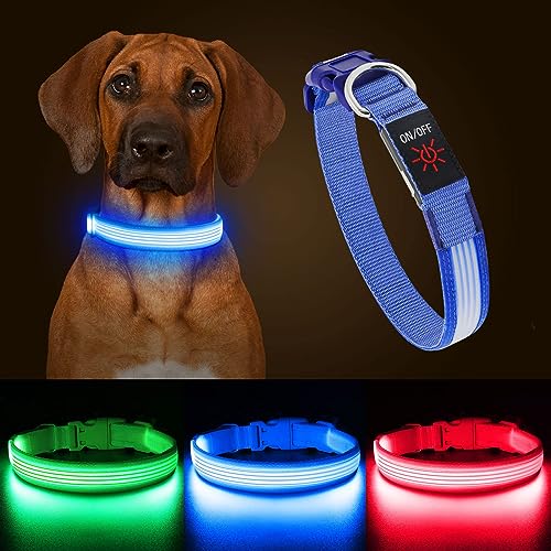 YFbrite Leuchthalsband, wiederaufladbares LED-Hundehalsband, verstellbar, reflektierend, Sicherheit leuchtet bei Nacht für Welpen, kleine, mittelgroße und große Hunde (Design 2-Blau, M) von YFbrite