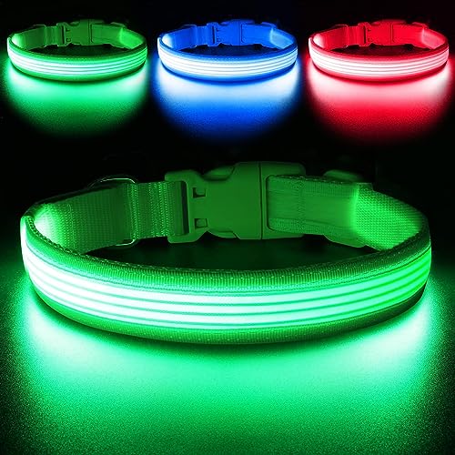 YFbrite Leuchthalsband, wiederaufladbares LED-Hundehalsband, verstellbar, reflektierend, Sicherheit leuchtet bei Nacht für Welpen, kleine, mittelgroße und große Hunde (Design 2-Grün, L) von YFbrite