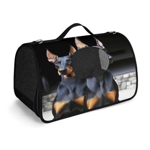 Dobermann-Handtasche, modische Hundetragetasche, kleine Haustier-Tragetasche, Haustier-Tragetasche, Reise-Handtasche für Katzen und kleine Hunde von YHEGBFD